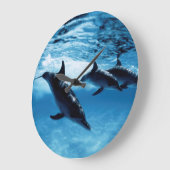 Delphintrio Große Wanduhr (Winkel)