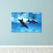Delphintrio Leinwanddruck (Insitu (Holzboden))