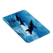 Delphintrio Magnet (Rechte Seite)
