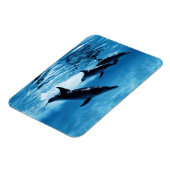 Delphintrio Magnet (Linke Seite)