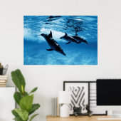 Delphintrio Poster (Heimbüro)