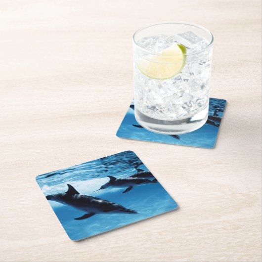 Delphintrio Rechteckiger Pappuntersetzer (Vor Ort)