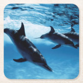 Delphintrio Rechteckiger Pappuntersetzer (Vorderseite)