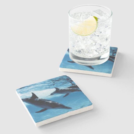 Delphintrio Steinuntersetzer (Seitenansicht)