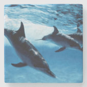 Delphintrio Steinuntersetzer (Vorderseite)