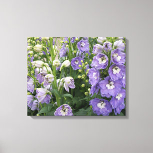 Delphinum-Blume Wrapped Canvas Leinwanddruck
