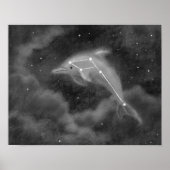 Delphinus Constellation Dolphin Poster (Vorne)