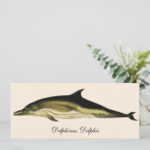 Delphinus Delphis, Vintage Meeressäugetiere (Stehend Vorderseite)
