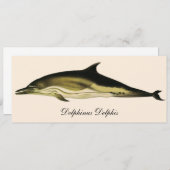 Delphinus Delphis, Vintage Meeressäugetiere (Vorne/Hinten)