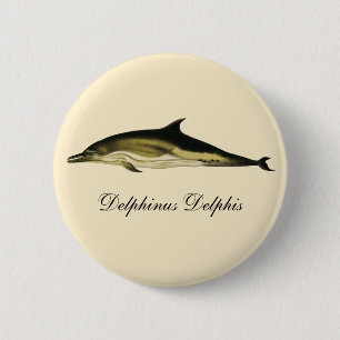 Delphinus Delphis, Vintage Meeressäugetiere Button