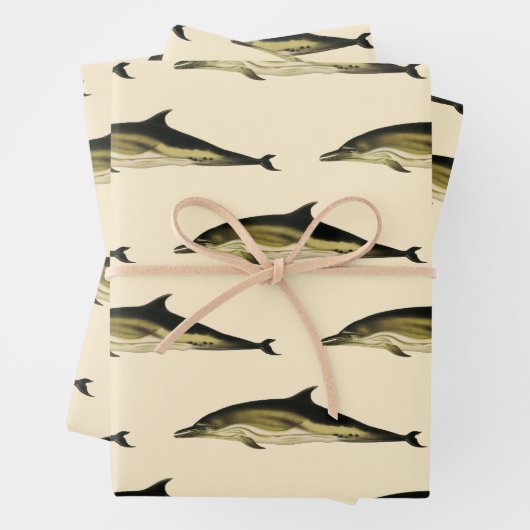Delphinus Delphis, Vintage Meeressäugetiere Geschenkpapier Set (Beispiel)