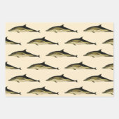 Delphinus Delphis, Vintage Meeressäugetiere Geschenkpapier Set (Vorderseite)