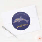 Delphinus der Delfin-Sternbild-Aufkleber Runder Aufkleber (Umschlag)