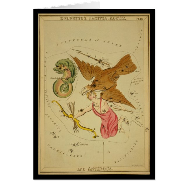 Delphinus, Sagitta, Aquila und Antinous (Vorne)
