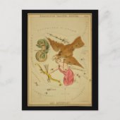 Delphinus, Sagitta, Aquila und Antinous Postkarte (Vorderseite)