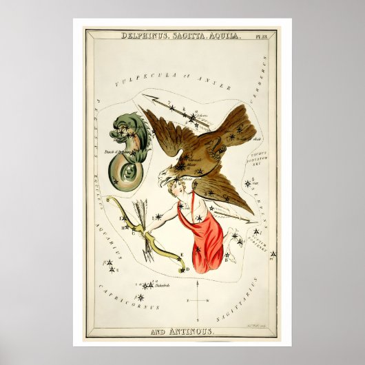 Delphinus Sternbild Kunstdruck Antik Poster (Vorne)