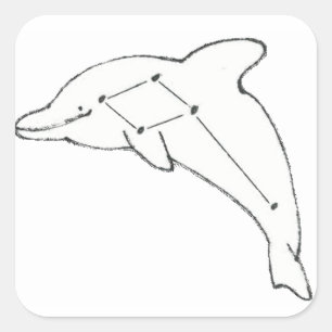 DelphinusAirways-Aufkleber Quadratischer Aufkleber