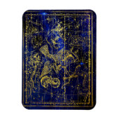 Delphinuskonstellentmagnet Magnet (Vertikal)