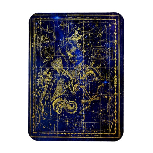 Delphinuskonstellentmagnet Magnet (Vertikal)