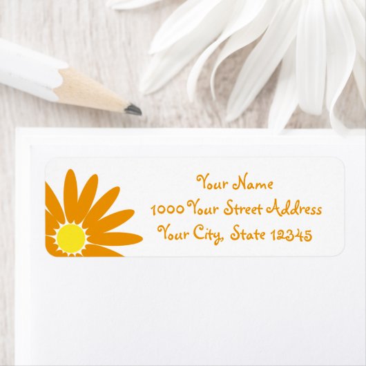 Delquate Daisy Orange Blume (Insitu)