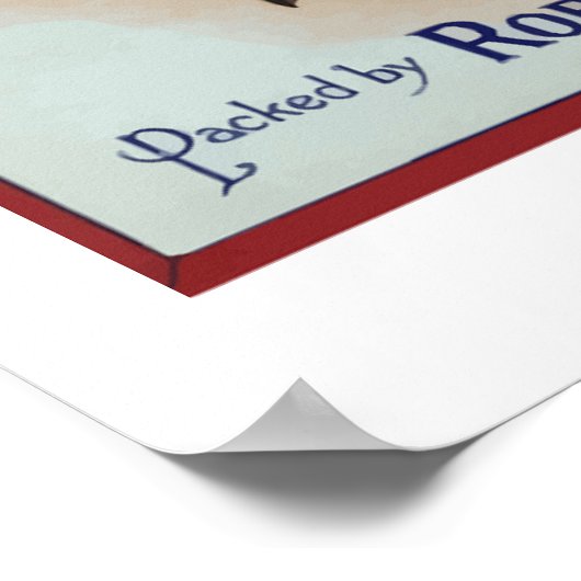 Delta Brand Orange Fruchtmarken Poster (Ecke)