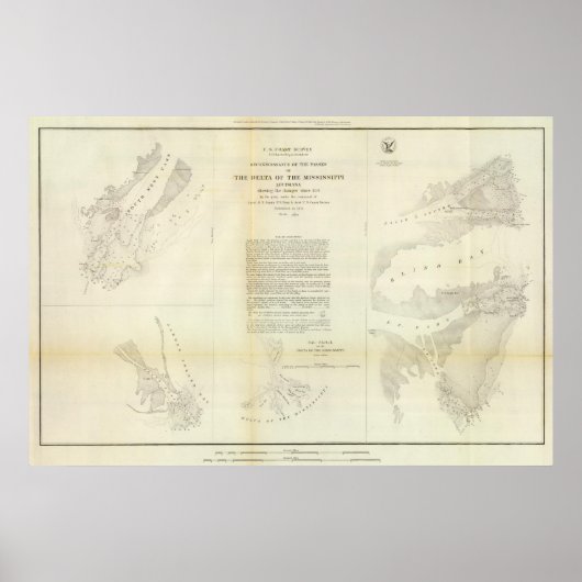 Delta des Mississippi Poster (Vorne)