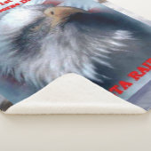 DELTA RAIDERS mit EGLER Sherpadecke (3/4)