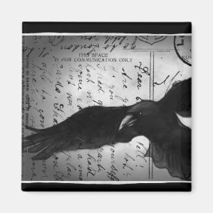 Deluxe Krähenmagnetgrenzen Magnet