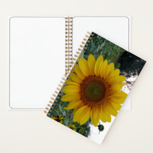 Deluxe-Spiralnotizbuch 5,5x8,5 mit Sonnenblumen-Ku Notizblock