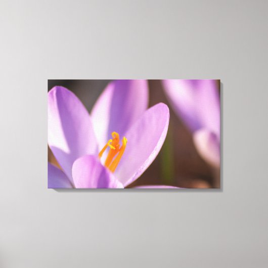 Dem Frühling ganz widernah! Leinwanddruck (Vorderseite)
