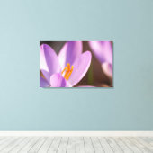 Dem Frühling ganz widernah! Leinwanddruck (Insitu (Holzboden))