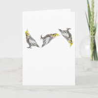 Dem Vogel den Finger zeigen Nymphensittich Lustige