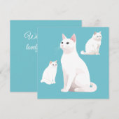 Demare Cats Geburtstagskarte (Vorne/Hinten)