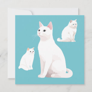 Demare Cats Geburtstagskarte
