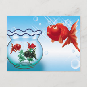 Demekin - Telescope Goldfish- Postkarte