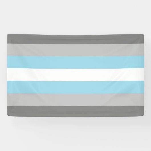 DemiBoy Flag Banner (Horizontal)