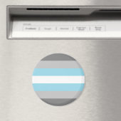 Demiboy Pride Flag Magnet (In Situ (Geschirrspüler))