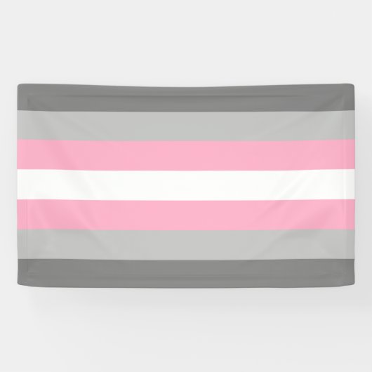 Demigirl Pride Banner (Horizontal)