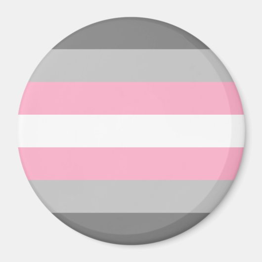 Demigirl Pride Flag Magnet (Vorne)