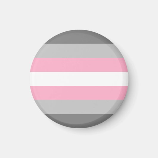 Demigirl Pride Flag Magnet (Vorne)