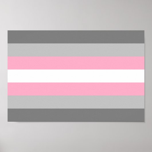 Demigirl Pride Poster (Vorne)