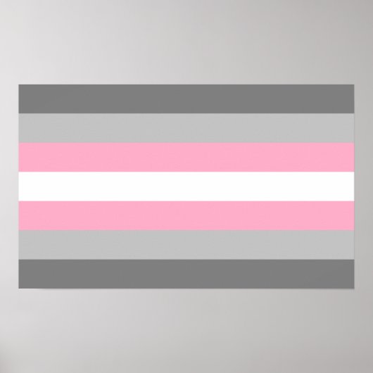 Demigirl Pride Poster (Vorne)