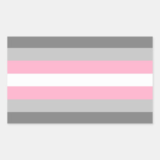 Demigirl Pride Rectangle Aufkleber