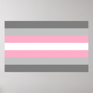 Demigirl Stolz Poster