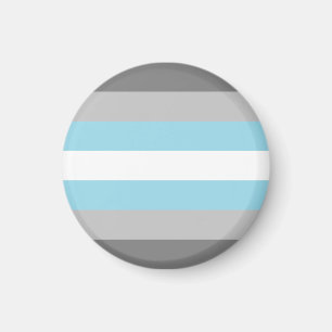 Demiguy Flag LGBT Magnet