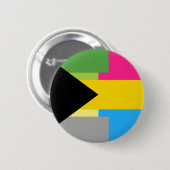 Demiromantic Pansexual Button (Vorne & Hinten)