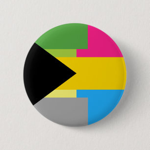 Demiromantic Pansexual Button