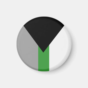 Demiromantische Pride-Flagge Magnet
