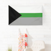 Demiromantischer Stolz Banner (Insitu)