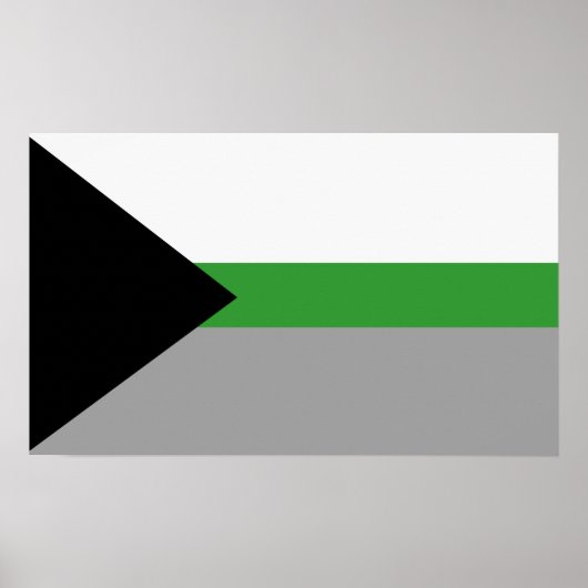 Demiromantischer Stolz Poster (Vorne)